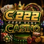 C222 Game