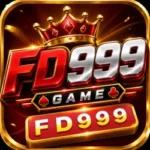 FD999 Game