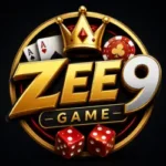 Zee9 Game